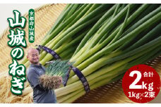 山城のねぎ 2kg 京野菜 ねぎ 山城のねぎ 京都府 木津川市 ねぎ 【001-13】
