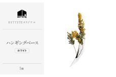 HITTITEの 海外展示会出展 スタイリッシュな花器 ハンギングベース ホワイト 【063-50-WH】