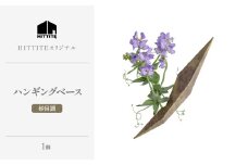 HITTITEの 海外展示会出展 スタイリッシュな花器 ハンギングベース 砂目調 【063-50-SU】