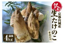京都山城産生たけのこ （訳あり・ご家庭用） 4kg前後 白子たけのこ たけのこ タケノコ 筍 竹の子 柔らかい 農家直送【016-03】