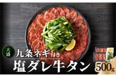 【父の日ギフト】≪6月15日お届け≫【大盛九条ネギ】 塩ダレ牛タン500g 薄切り 牛タン 九条ねぎ 味付き 父の日 たん 簡単 焼肉 タン 牛肉 京都府 木津川市 特製塩だれ 牛たん 小分け タン 牛たん 小分け ぎゅうたん 塩だれ牛タン【093-02-F】