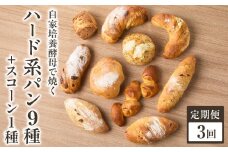 【全3回定期便】自家培養酵母で焼くハード系パン9種＋スコーン1種セット！ハード系 パン スコーン 自然素材「Boulangerie Faveur」京都府 木津川市【065-04-T02】