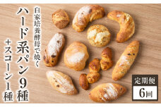 【全6回定期便】自家培養酵母で焼くハード系パン9種＋スコーン1種セット！ハード系 パン スコーン 自然素材「Boulangerie Faveur」京都府 木津川市【065-04-T03】
