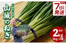 【スピード発送】最短7日以内発送！！山城のねぎ 2kg 京野菜 ねぎ 山城のねぎ 京都府 木津川市 ねぎ 【001-13-S】