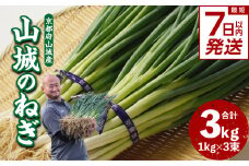 【スピード発送】最短7日以内発送！！山城のねぎ 3kg 京野菜 ねぎ 山城のねぎ 京都府 木津川市 ねぎ 【001-14-S】