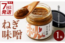 【スピード発送】最短7日以内発送！！【京都山城のねぎ】 ねぎ味噌 山城のねぎ 九条ねぎ ねぎ ネギ 味噌 みそ コチュジャン味噌 コクのある ねぎ味噌 瓶 京都府 木津川 [100gx1本] 【001-06-S】