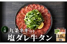 ≪定期便全6回≫【大盛九条ネギ】塩ダレ牛タン500g 薄切り 牛タン 九条ねぎ 味付き 焼くだけ 簡単 焼肉 牛肉 特製塩だれ 牛たん 小分け 定期便 塩だれ タン 人気 肉屋 BBQ アウトドア 牛タン塩 京都府 木津川市【093-T02】
