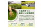 宇治抹茶　石臼挽き　100g×3袋　お稽古用　食品加工用