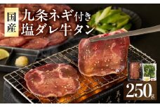 「京都人気焼肉店」貴重！塩ダレ国産牛タン 九条ネギレモン付き 250g 国産 牛タン 九条ネギ 薄切り 味付き 塩だれ 焼肉 BBQ 冷凍【093-39】