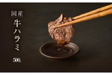 「京都人気焼肉店」貴重！肉汁溢れる 国産牛ハラミ 500g ふるさと納税 国産ハラミ 貴重 自家製ダレ プロの味 【093-43】 牛肉 ハラミ BBQ 国産 肉 バーベキュー 味付けハラミ ホルモン 焼肉 牛ハラミ ふるさと納税 京都府 木津川市 タレ付けハラミ 肉汁 