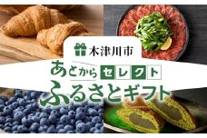 あとからセレクト【ふるさとギフト】４０万円