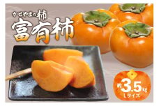【先行予約】かせやまの柿-富有柿　Lサイズ　約3.5kg 【015-01】