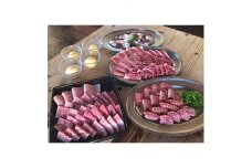 『多来多来』の特撰牛肉コースお食事券　4名様分【1131614】