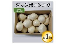ジャンボニンニク　約1kg【1240619】