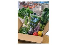 季節の京都府久御山野菜詰合せ【1097548】