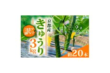 ＜訳アリ＞きゅうり 3kg 京都府 野菜【1568062】