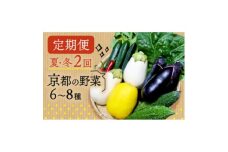＜発送月固定定期便＞夏冬の野菜6～8種セット全2回【4061742】