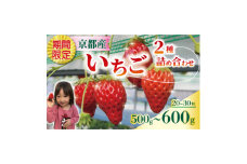 いちご 紅ほっぺ・章姫(2種合計 約500-600g) 1箱【1580016】