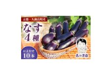 なす4種類おまかせ10本!(水なす・フルーツなす・千両なす・ふわとろ長なす)【1613688】