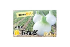 ＜訳アリ＞たまねぎ 5kg　京都府久御山町産【1621127】