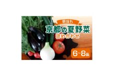 夏野菜 6～8種 セット　京都府久御山町【1623427】