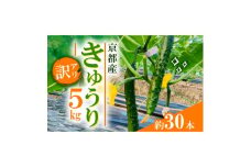 ＜訳アリ＞ きゅうり5kg(約30本)【1623414】