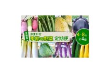 ＜毎月定期便＞季節のおまかせ野菜セット 4～8種詰め合わせ 計2kg～3kg全4回【4069423】
