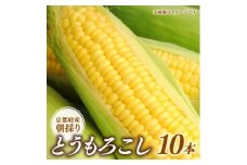 京都府久御山町 とうもろこし 10本【1666122】