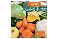 京都 朝採れ 冬野菜セット 6～8種【1669703】
