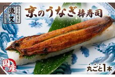 うなぎ棒寿司 1本 夏季限定 国産 京都 鰻 ウナギ 寿司 国産 鰻寿司 押し寿司 鮨 海鮮 和食 井手町 京料理 冷蔵 高級 2万円 20000 【020】