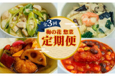 梅の花 惣菜定期便(全3回) 簡単便利 惣菜 定期便 3ヶ月 長州鶏 湯葉 唐揚げ 黒酢 和風 鶏湯葉丼 中華風 中華丼 豆腐ハンバーグ トマトソース 井手町 京都府 【219】