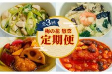 梅の花 惣菜定期便(全3回) 簡単便利 惣菜 定期便 3ヶ月 長州鶏 湯葉 唐揚げ 黒酢 和風 鶏湯葉丼 中華風 中華丼 豆腐ハンバーグ トマトソース 井手町 京都府 【219】