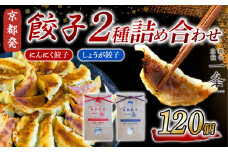 選べる 餃子 2種詰め合わせセット にんにく餃子 ＆ しょうが餃子  120個  冷凍 ぎょうざ ギョウザ ギョーザ しょうが 生姜 豚肉 便利 簡単調理 惣菜 絶品 おかず お子様 家族 こだわり餃子 餃子 人気餃子 簡易包装餃子 訳あり餃子 訳アリ 冷凍餃子 冷凍生餃子 京都 井手町 京都餃子一条 【230】