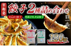 選べる 餃子 2種詰め合わせセット にんにく餃子 ＆ 丹波とりしそ京餃子  120個  冷凍 ぎょうざ ギョウザ ギョーザ しょうが 生姜 豚肉 便利 簡単調理 惣菜 絶品 おかず お子様 家族 こだわり餃子 餃子 人気餃子 簡易包装餃子 訳あり餃子 訳アリ 冷凍餃子 冷凍生餃子 京都 井手町 京都餃子一条 【231】