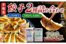 選べる 餃子2種詰め合わせセット しょうが餃子 ＆ 丹波とりしそ京餃子  120個  冷凍 ぎょうざ ギョウザ ギョーザ しょうが 生姜 豚肉 便利 簡単調理 惣菜 絶品 おかず お子様 家族 こだわり餃子 餃子 人気餃子 簡易包装餃子 訳あり餃子 訳アリ 冷凍餃子 冷凍生餃子 京都 井手町 京都餃子一条 【232】