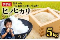【先行予約】ヒノヒカリ 5kg 令和7年産 精米 白米  お米 米 こめ ご飯 おにぎり 弁当 産地直送 国産 京都産 井手町 予約
