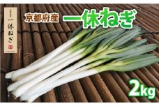 京都府産 一休ねぎ 2kg 白ねぎ 白ネギ 白葱 葱 ねぎ 野菜 やさい お取り寄せ 産地直送 鍋 新鮮 薬味 家庭用 業務用 国産 旬 井手町 京都