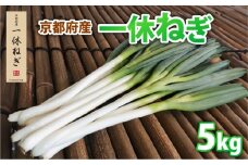 京都府産 一休ねぎ 5kg 白ねぎ 白ネギ 白葱 葱 ねぎ 野菜 やさい お取り寄せ 産地直送 鍋 新鮮 薬味 家庭用 業務用 国産 旬 井手町 京都