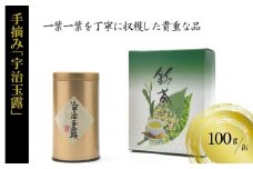 手摘み「宇治玉露」100g／缶 〈高級 お茶 茶 玉露 手摘み 茶葉 京都  飲料〉  n0128改