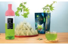 【緑茶水出し】耐熱ボトルと深蒸し冷茶(4g×62袋入)セット〈お茶 茶 冷茶 煎茶 緑茶 水出し 茶葉 ティーバッグ ハリオ 耐熱ボトル 深蒸し茶 深むし 飲料〉  n0181