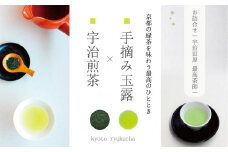 宇治田原玉露と宇治煎茶のお詰合せ～最高茶師～〈お茶 茶 煎茶 緑茶 茶葉 玉露 手摘み玉露 雁が音 茎茶 詰合せ 最高茶師 大臣賞 飲料〉  n4001