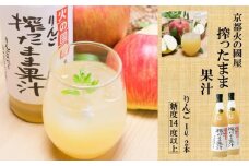 糖度14度以上 京都[火の國屋]搾ったまま果汁（リンゴ2本）〈無添加 生搾り 高濃度 果実 りんご リンゴ 林檎 ジュース 果汁 飲料 果物〉  n0159b