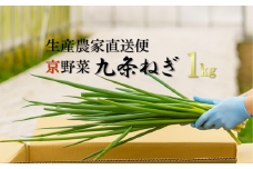 生産農家直送　京野菜・九条ねぎ  1kg 〈ねぎ ネギ 葱 九条ねぎ 京野菜 京都 新鮮 甘い 農家直送 野菜〉 S1101