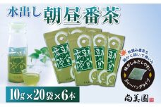 宇治・水出し朝昼番茶ティーバッグ（10g×20個入×6袋）とクールサーバーのセット〈お茶 茶 煎茶 緑茶 番茶 宇治茶 宇治 秋摘み カテキン ポリサッカライド 水出し ティーバッグ セット クールサーバー 飲料 健康〉 n0260