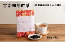 緑茶発祥の地からお届け「宇治田原紅茶」50g×5袋〈紅茶 お茶 茶 茶葉 フルーティー 飲料〉  n01147