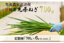 【6か月定期便】生産農家直送　京野菜・九条ねぎ  700g×6回〈定期便 ねぎ ネギ 葱 九条ねぎ 京野菜 京都 新鮮 甘い 農家直送 野菜〉 S0802 ×6