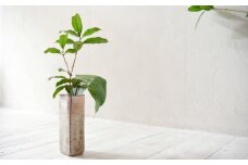 【京都 chico硝子意匠】Hiwairoフラワーベース 赤 花器 花瓶(高さ20cm×9cm×6cm)〈硝子 花器 花瓶 工芸品 雑貨 日用品 シンプル 上品 透明度 光彩 ガラス作家 ガラス工芸 おしゃれ ガラス 〉 S22601