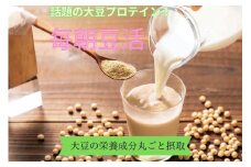 毎朝豆活300g（和紅茶ブレンド）クリアボトル付 〈豆 ドリンク 大豆パウダー たんぱく質 プロテイン 酵素 国産 大豆 飲料 健康 美容 栄養 パウダー 乳飲料 ボトル サポート 食物繊維 〉 S0807