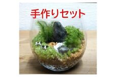 コケテラリウム手作りキット（径8×高さ8cm）〈コケ 苔 こけ 植物 初心者 インテリア 手作り セット キッド 雑貨 日用品〉  S1206