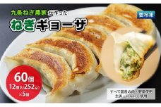 九条ねぎ農家が作ったねぎギョウザ（12個入×5袋）〈 ぎょうざ 餃子 ギョーザ 九条ねぎ 京野菜 冷凍 冷凍餃子 惣菜 国産豚肉 ジューシー おかず つまみ 酒の肴 夕飯 晩御飯 手軽 便利 〉 S1117